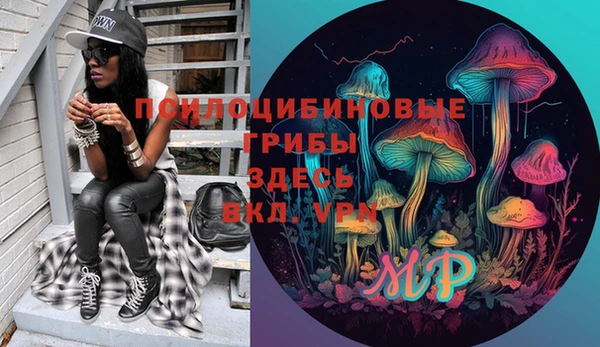 мяу мяу мука Алексеевка