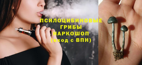 соль ск Алексин