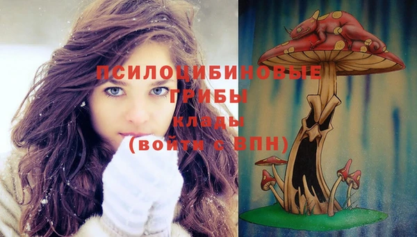 дурь Алзамай