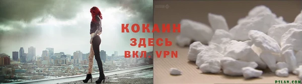мяу мяу мука Алексеевка