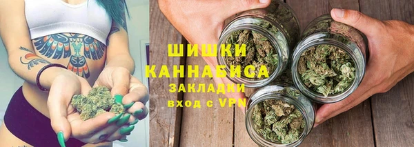 дурь Алзамай