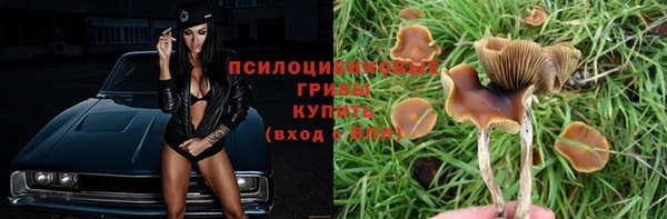 мяу мяу мука Алексеевка