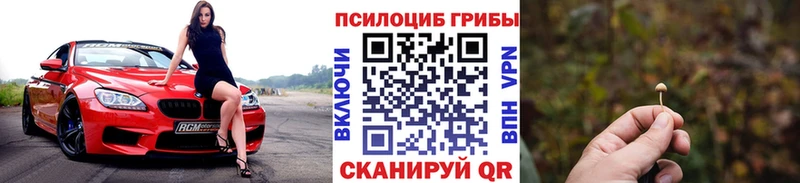 Псилоцибиновые грибы Psilocybe  Канаш 