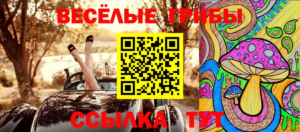 Канаш  Псилоцибиновые грибы мухоморы  Вход с VPN 