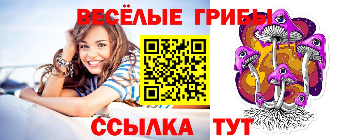 Галлюциногенные грибы Psilocybine cubensis Канаш